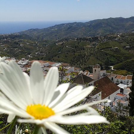 Casa Ana, Fantasticas Vistas A Frigiliana, El Mar Y La Montana别墅 外观 照片