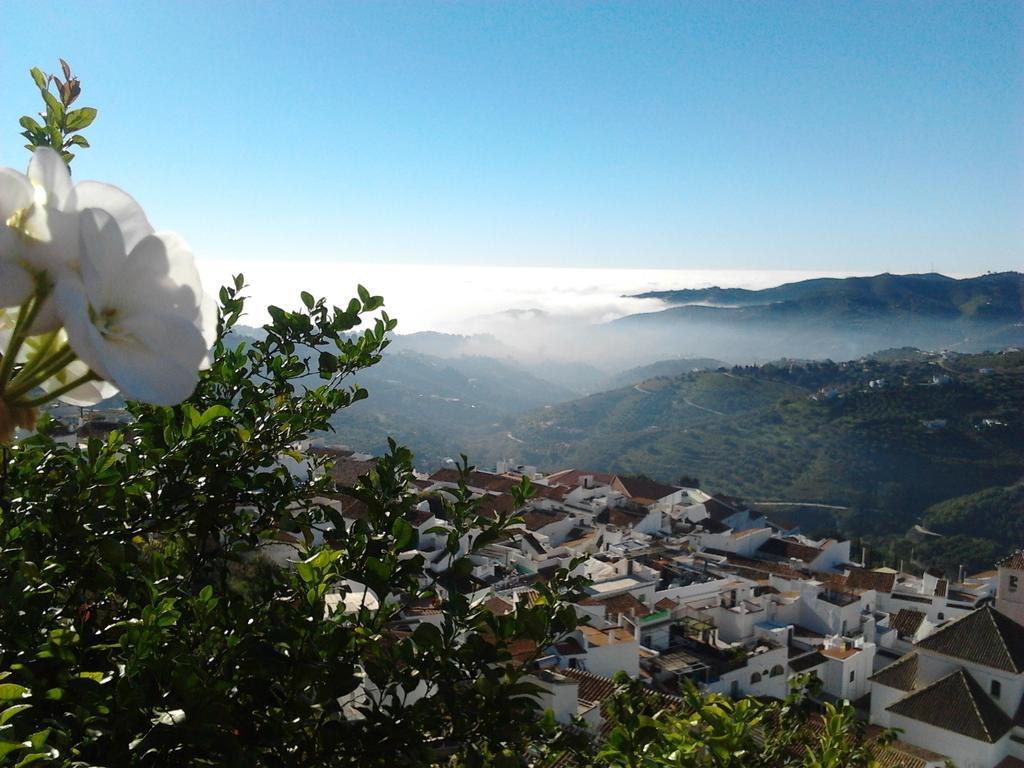 Casa Ana, Fantasticas Vistas A Frigiliana, El Mar Y La Montana别墅 客房 照片