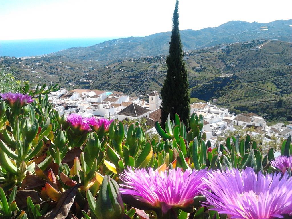 Casa Ana, Fantasticas Vistas A Frigiliana, El Mar Y La Montana别墅 客房 照片