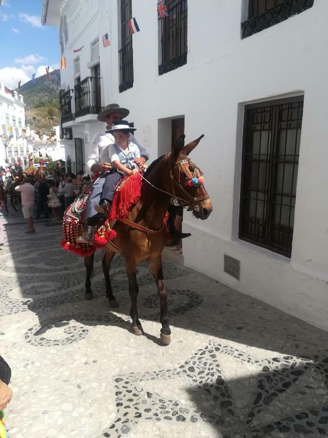 Casa Ana, Fantasticas Vistas A Frigiliana, El Mar Y La Montana别墅 外观 照片