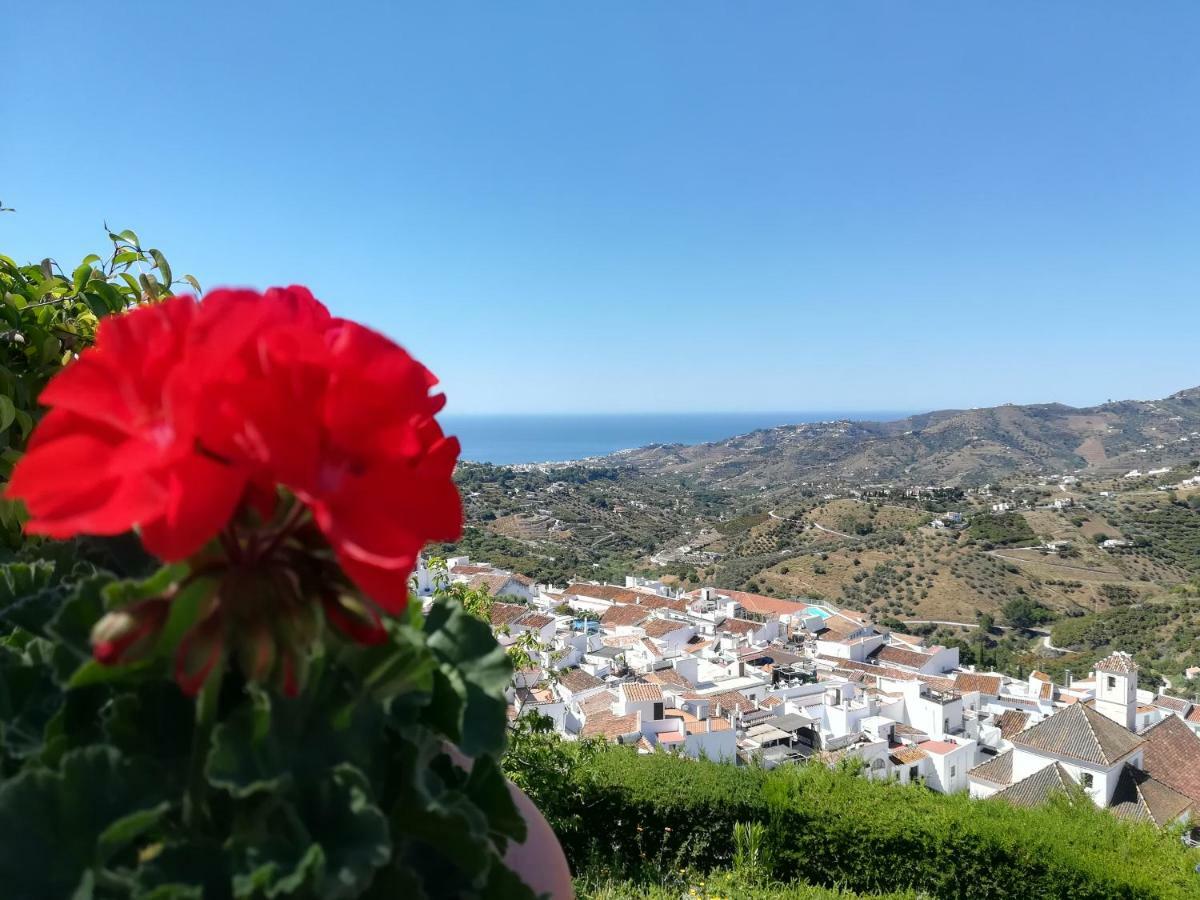 Casa Ana, Fantasticas Vistas A Frigiliana, El Mar Y La Montana别墅 外观 照片